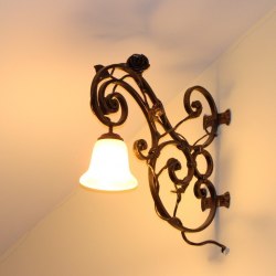  svietidlá do interiéru - romantická nástenná lampa prepletená ružou - rustikálne svietidlo